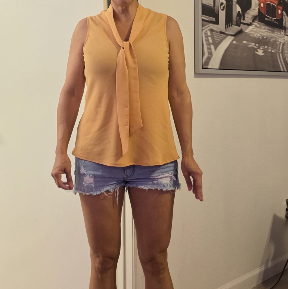 Kasper Sleeveless Tie Front Blouse